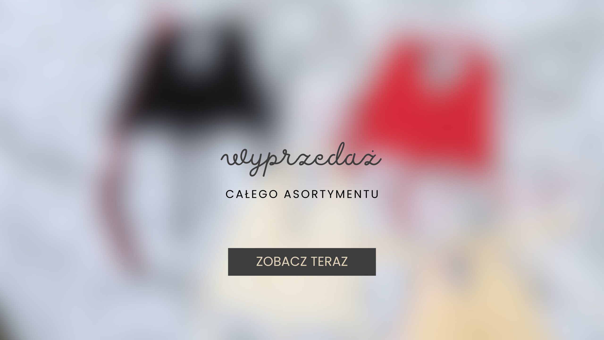 baner na stronie www (1)